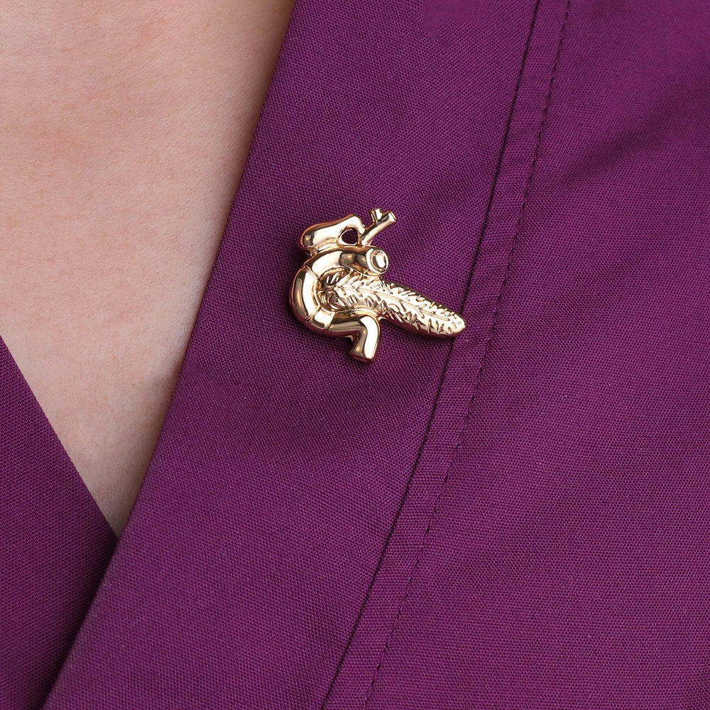Best Pancreas Pin Badge Anatomy Medical Doctors Nurse Gift Gold Color Lapel Pin Metal An Exquisite Brooch Classic Jewelry Women