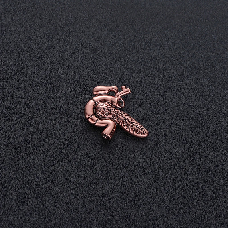 Best Pancreas Pin Badge Anatomy Medical Doctors Nurse Gift Gold Color Lapel Pin Metal An Exquisite Brooch Classic Jewelry Women
