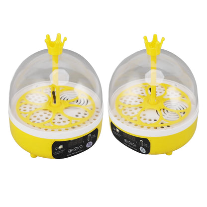 Mini incubateur d'œufs pour la maison, contrôle automatique de la température et de l'humidité, 4 œufs, chandelle, machine à couver pour volailles, poulets, canards, Pi