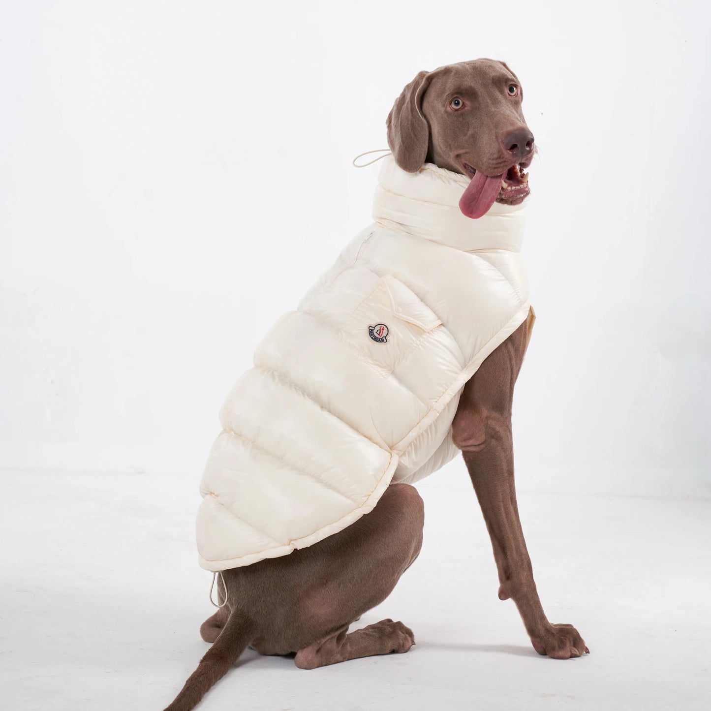 PawDream Dog Clothes Raincoat For Small Big Dogs Wind Coat Windbreaker French Bulldog Hoodie For Dogs Clothes Jacket Chihuahua