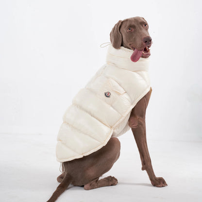PawDream Dog Clothes Raincoat For Small Big Dogs Wind Coat Windbreaker French Bulldog Hoodie For Dogs Clothes Jacket Chihuahua