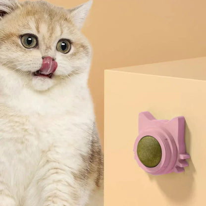 Lot de 1 à 5 balles murales rotatives à l'herbe à chat pour chaton, jouets à mâcher à lécher, nettoyage des dents, jouet à mordre pour chat d'intérieur, fournitures pour animaux de compagnie