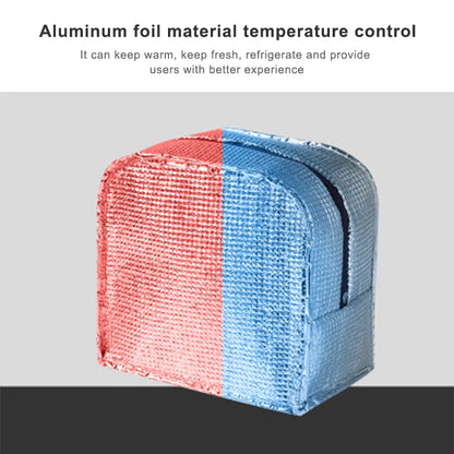 Sac isotherme portable pour pique-nique, pour femmes et enfants