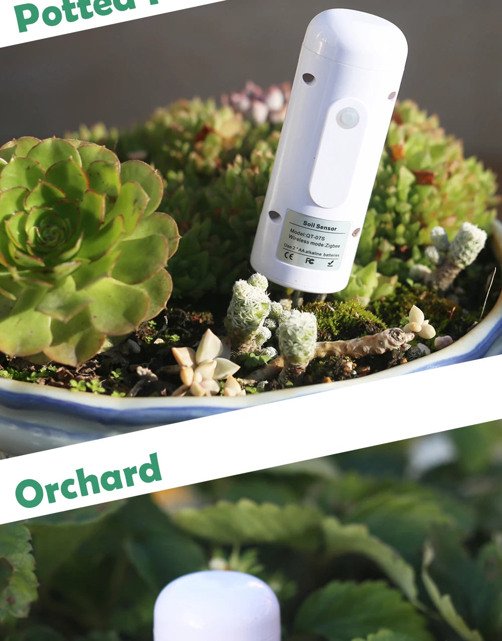 Moniteur de plantes ZIGBEE, compteur de température du sol extérieur, testeur d'humidité, capteur d'automatisation de jardin, détecteur TUYA d'irrigation
