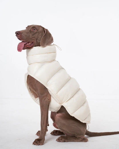 PawDream Dog Clothes Raincoat For Small Big Dogs Wind Coat Windbreaker French Bulldog Hoodie For Dogs Clothes Jacket Chihuahua