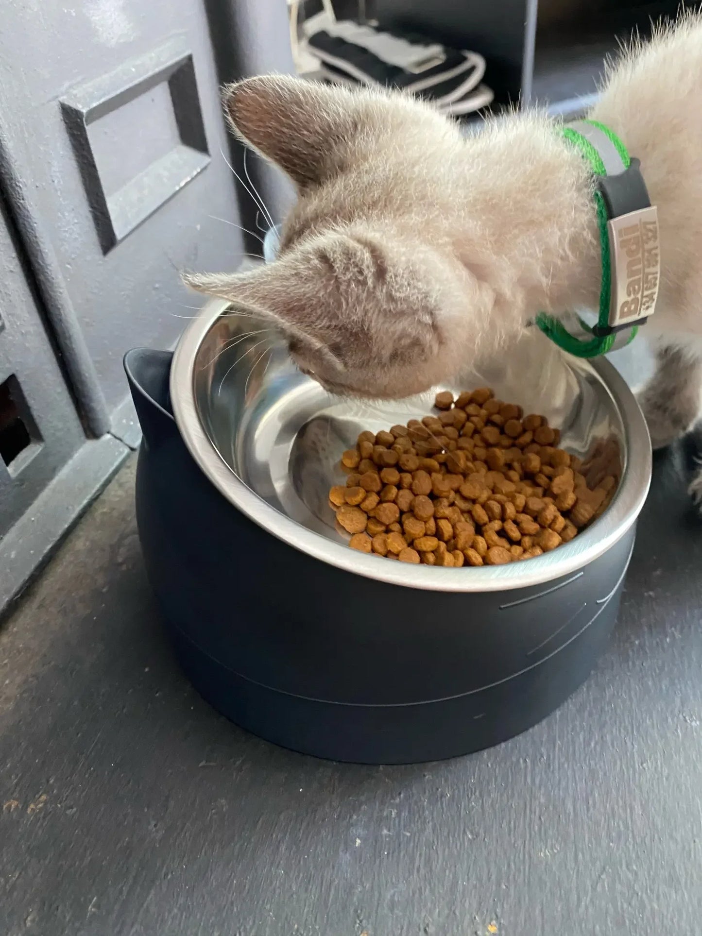 Stainless Steel Cats Food Bowls Non-slip Crash Pets Bowls Lovely Inclined Kitten Puppy Food Drinking Water Feeder Premium Design
