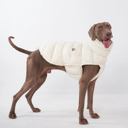 PawDream Dog Clothes Raincoat For Small Big Dogs Wind Coat Windbreaker French Bulldog Hoodie For Dogs Clothes Jacket Chihuahua