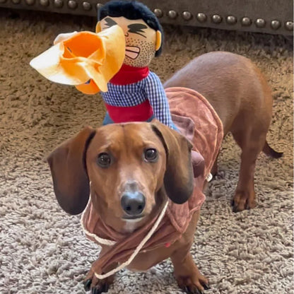 Vêtements amusants pour chiens de petite, moyenne et grande taille, style cowboy, pour Halloween, pour animaux de compagnie, mignons, pour fête, veste pour chiot, cosplay, tenues de carlin