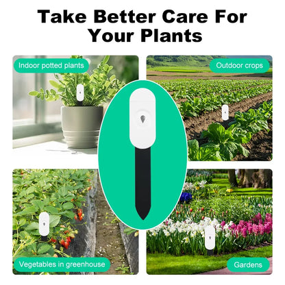 Capteur d'humidité du sol intelligent Tuya ZigBee, compteur de température et d'humidité, thermo-hygromètre, automatisation du jardin, détecteur d'irrigation