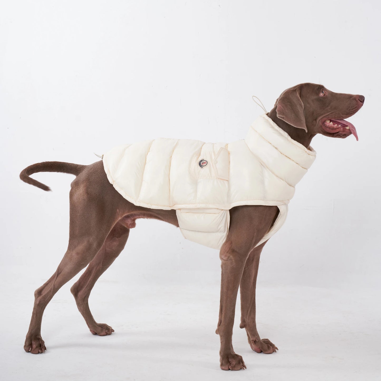 PawDream Dog Clothes Raincoat For Small Big Dogs Wind Coat Windbreaker French Bulldog Hoodie For Dogs Clothes Jacket Chihuahua
