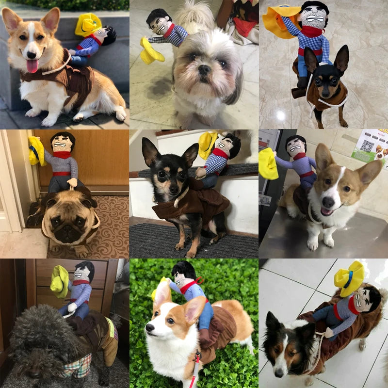 Vêtements amusants pour chiens de petite, moyenne et grande taille, style cowboy, pour Halloween, pour animaux de compagnie, mignons, pour fête, veste pour chiot, cosplay, tenues de carlin