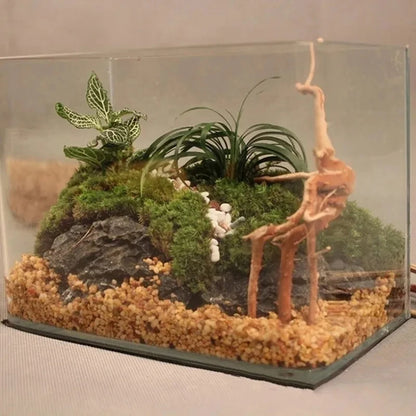 Natural Driftwood Cuckoo Roots Dead-wood Tree Trunk Micro Landscape Creative Reptile Cylinder Fish Tank Ornament Aquarium Decor