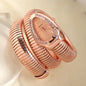 Unique Snake Shaped Design Bracelet Beauty Wrist Watches Difference Quartz Watch Women Waterproof Exquisite AAA Watch for Ladies
