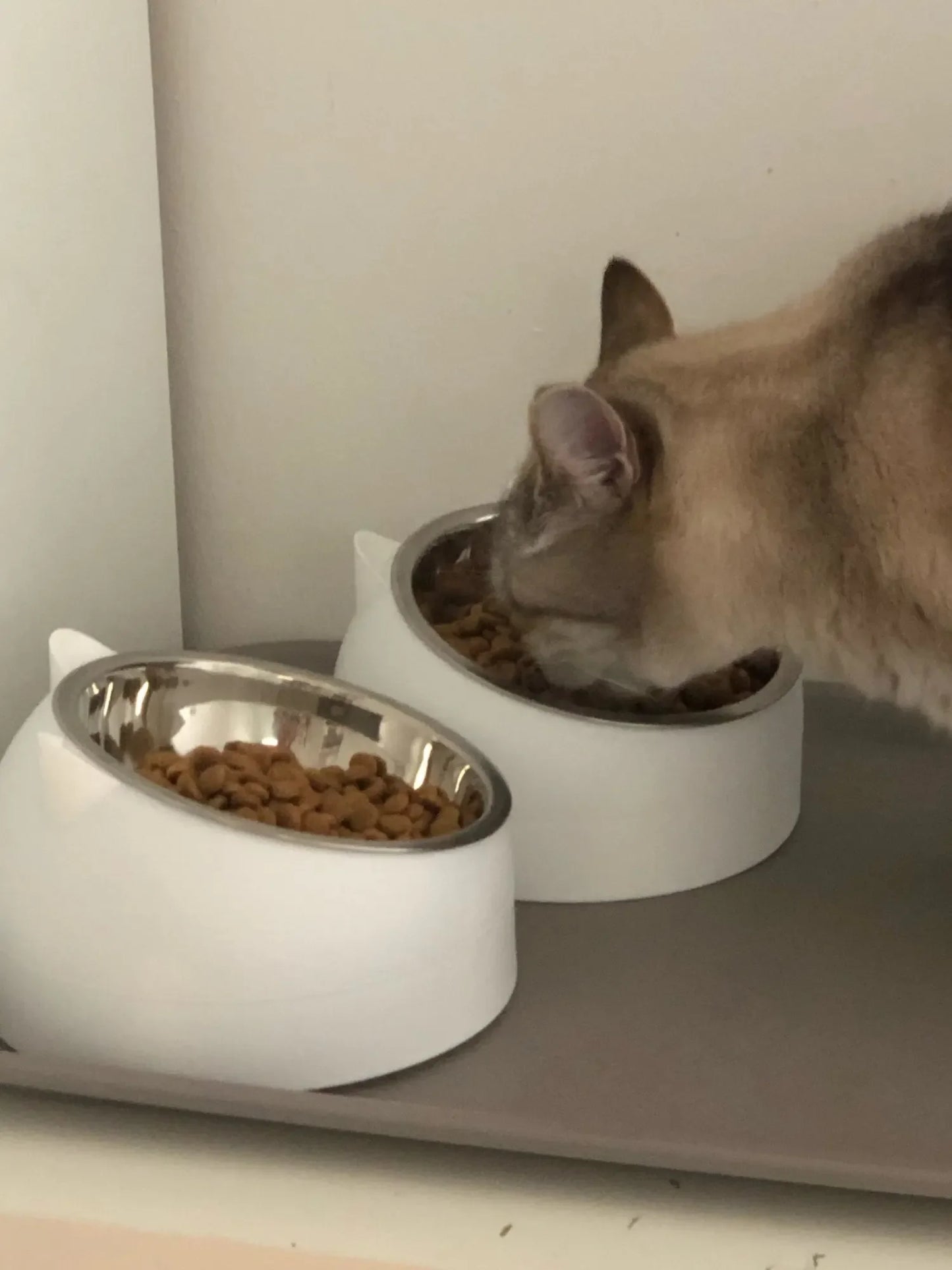 Stainless Steel Cats Food Bowls Non-slip Crash Pets Bowls Lovely Inclined Kitten Puppy Food Drinking Water Feeder Premium Design