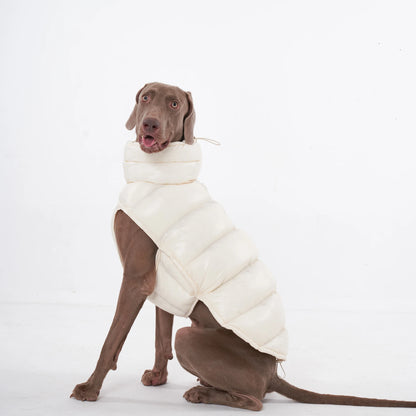 PawDream Dog Clothes Raincoat For Small Big Dogs Wind Coat Windbreaker French Bulldog Hoodie For Dogs Clothes Jacket Chihuahua