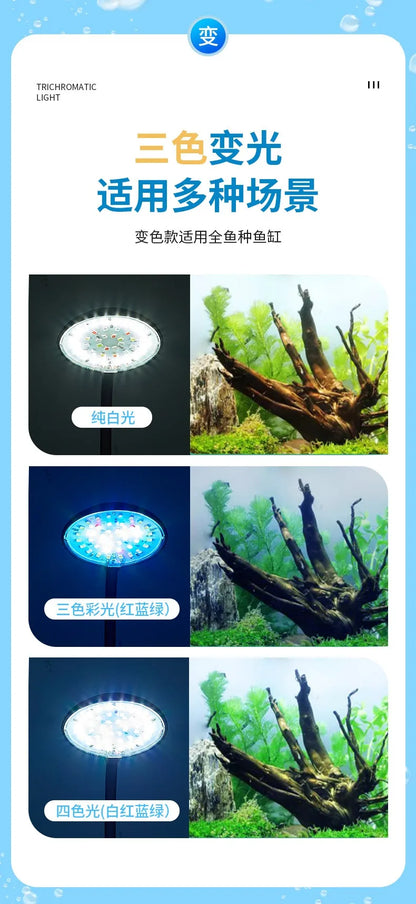Lampe d'aquarium USB 5 W 7 W LED étanche pour aquarium, lampe sous-marine pour poissons, décoration d'aquarium, lampe pour plantes, mini lampe pour aquarium