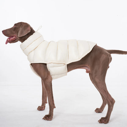 PawDream Dog Clothes Raincoat For Small Big Dogs Wind Coat Windbreaker French Bulldog Hoodie For Dogs Clothes Jacket Chihuahua
