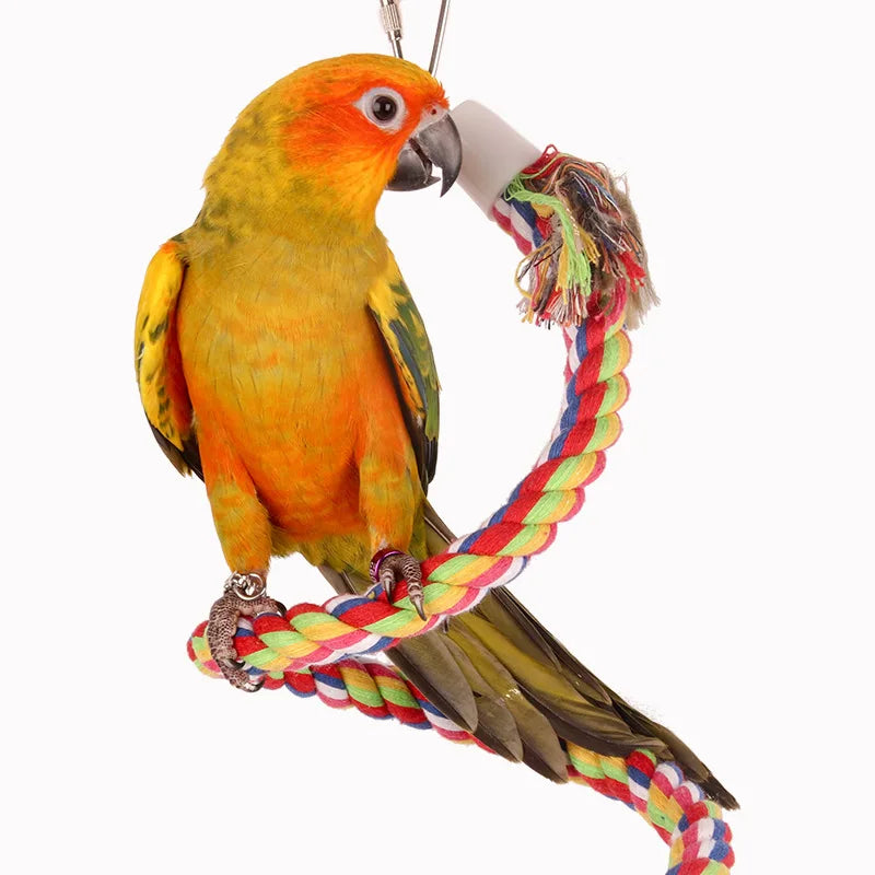 Parrot Rope Hanging Braided Budgie Chew Rope Bird Cage Cockatiel Toy Pet Stand Training Accessories Swing Supplies Parrot Swings