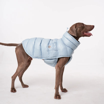 PawDream Dog Clothes Raincoat For Small Big Dogs Wind Coat Windbreaker French Bulldog Hoodie For Dogs Clothes Jacket Chihuahua
