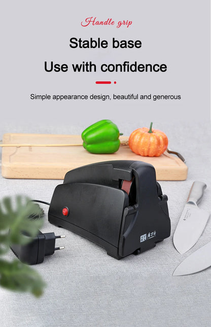 TAIDEA TG2002 Belt Grinding Electric Diamond Steel Sharpener