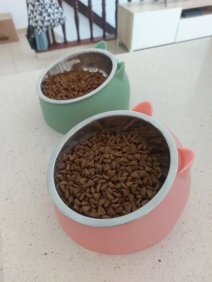Stainless Steel Cats Food Bowls Non-slip Crash Pets Bowls Lovely Inclined Kitten Puppy Food Drinking Water Feeder Premium Design