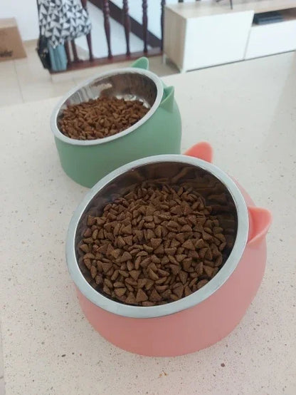 Stainless Steel Cats Food Bowls Non-slip Crash Pets Bowls Lovely Inclined Kitten Puppy Food Drinking Water Feeder Premium Design