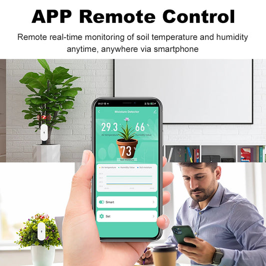 Testeur de sol intelligent Zigbee 3.0, compteur de température et d'humidité, thermohygromètre étanche, détecteur d'irrigation et d'automatisation de jardin