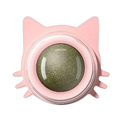 Lot de 1 à 5 balles murales rotatives à l'herbe à chat pour chaton, jouets à mâcher à lécher, nettoyage des dents, jouet à mordre pour chat d'intérieur, fournitures pour animaux de compagnie