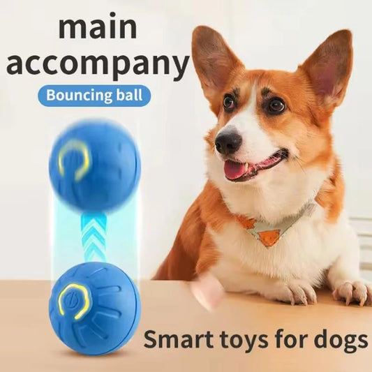 Jouet intelligent pour animaux de compagnie, balle électronique interactive pour animaux de compagnie, balle mobile USB, chiot, rebond automatique, cadeau, produits pour chats.