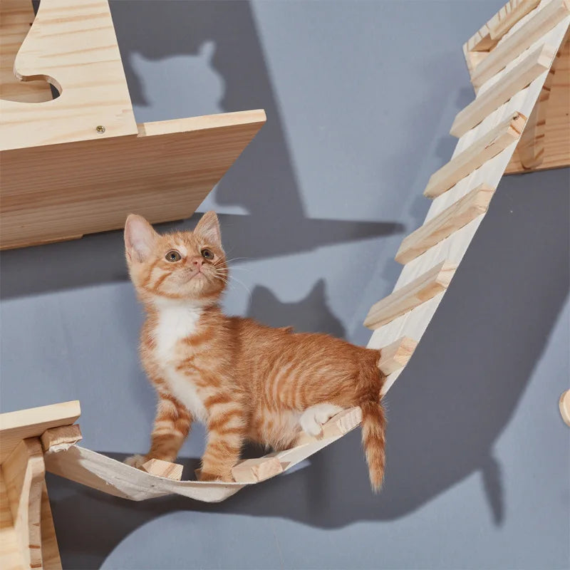Étagères murales pour chats et échelle en corde, griffoir pour meubles pour chats, plateforme de saut en bois, jeu et sommeil pour chats