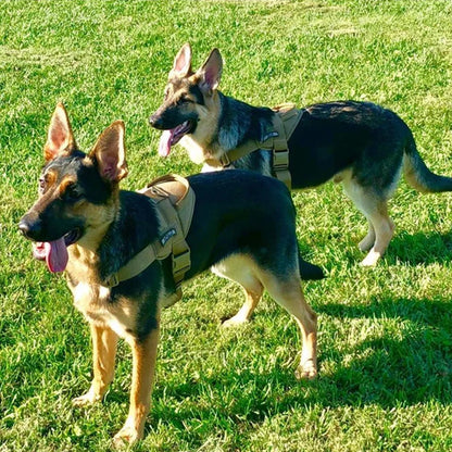 Dog Tactical Vest Nylon Outdoor Water-Repellent Dog Clothing Large and Medium-sized Dog Training Vest Harness Traction
