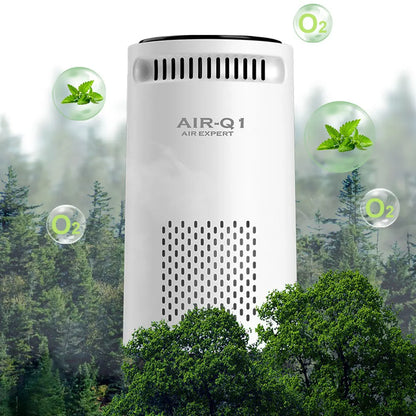 Purificateur d'air portable pour maison, voiture, purificateur d'air à ions négatifs pour la fumée, le pollen, désodorisant silencieux USB pour chambre, bureau, salon