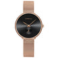Women's Stainless Steel Strap Mesh Strap Watch Simple