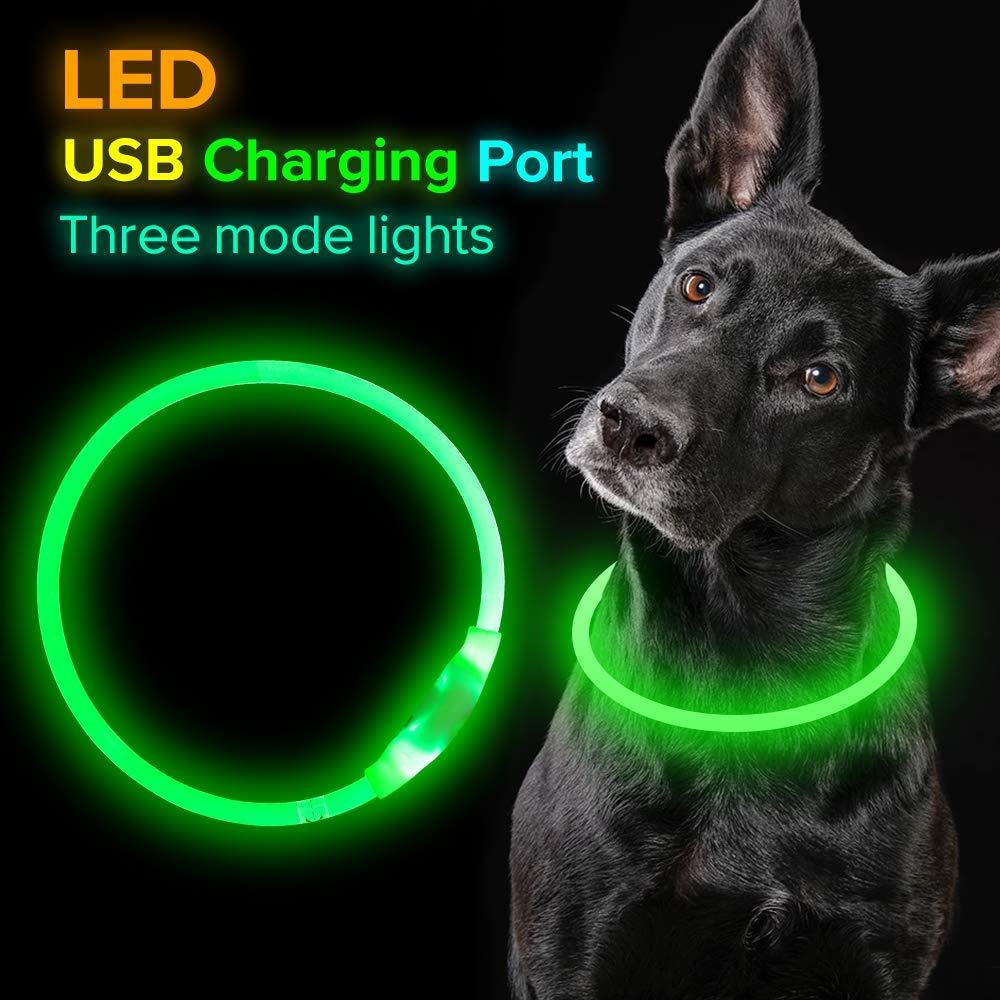 Collier lumineux pour animaux de compagnie, rechargeable par USB, collier de sécurité lumineux pour promenade nocturne, collier électrique pour chien, néon