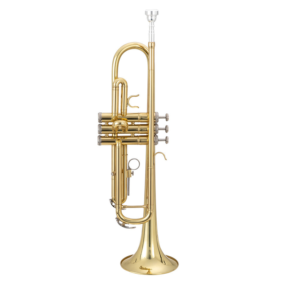 Trompette en laiton si bémol, avec embouchure 7C, adaptée aux étudiants de niveau standard ou débutants. Vente interdite sur Amazon.