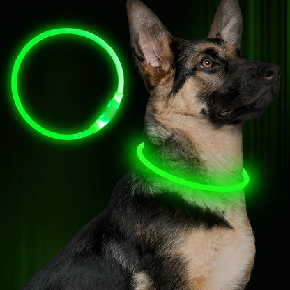 Collier lumineux pour animaux de compagnie, rechargeable par USB, collier de sécurité lumineux pour promenade nocturne, collier électrique pour chien, néon