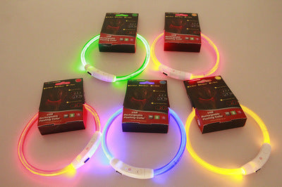 Collier lumineux pour animaux de compagnie, rechargeable par USB, collier de sécurité lumineux pour promenade nocturne, collier électrique pour chien, néon