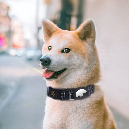 Protection de suivi de téléphone portable pour produits pour animaux de compagnie