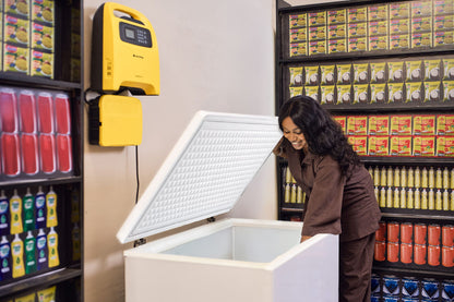 SunKing PowerPlay Pro Solar Inverter System Affordable Energy, Anytime, Anywhere